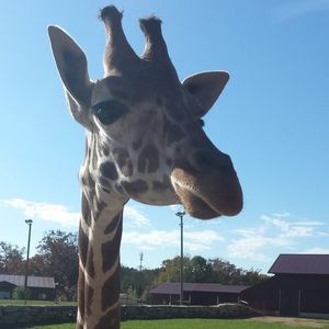 Meet your Posher, Ava